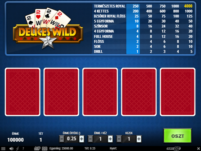 video poker